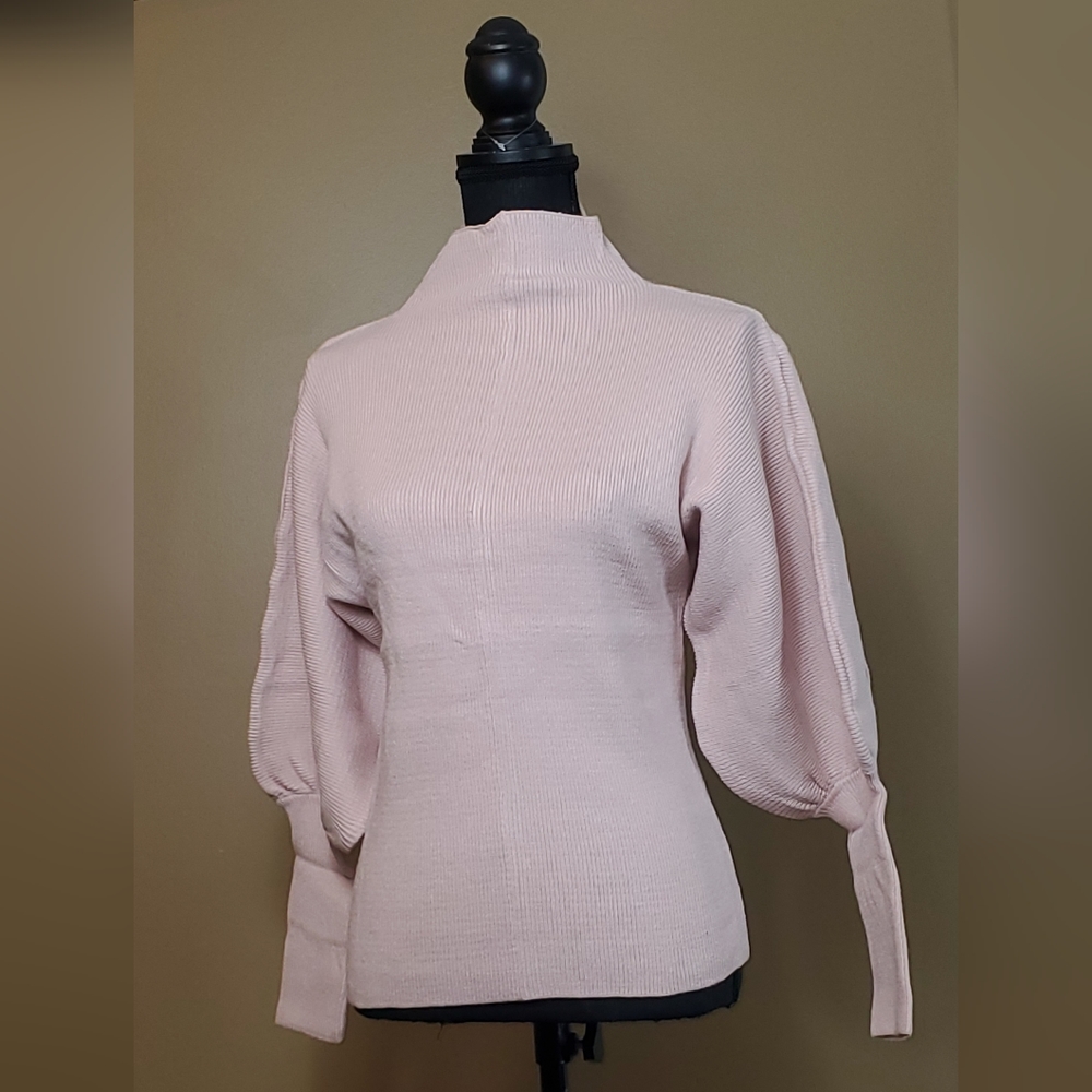 Lovely mock neck balloon sleeves top.